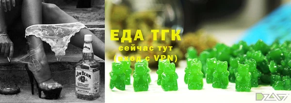ешки Инта