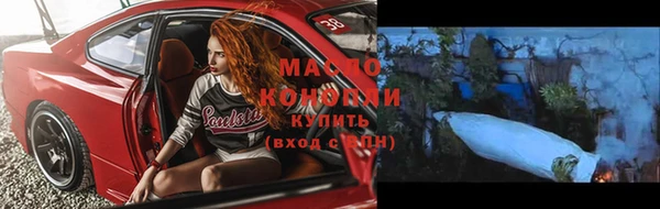 ешки Инта