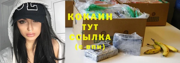 ешки Инта
