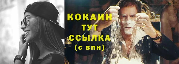ешки Инта