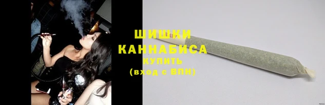ешки Инта