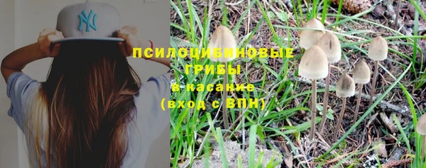 ешки Инта