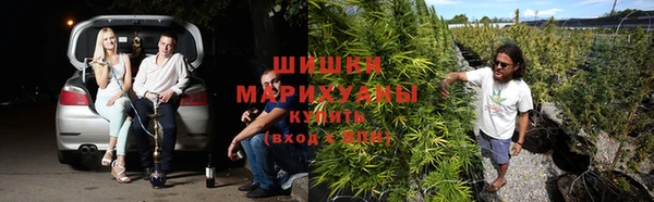 ешки Инта