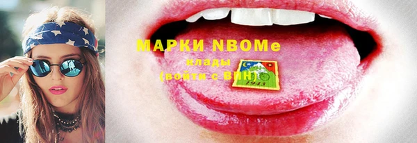 ешки Инта