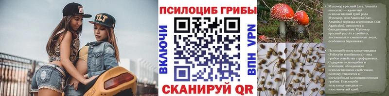 Псилоцибиновые грибы ЛСД  Купить  Гаврилов Посад 